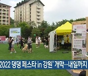 '2022 댕댕 페스타 in 강원' 개막..내일까지 홍천에서
