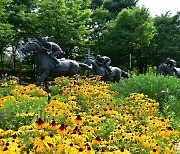 [포토친구] 서울의 숲 풍경