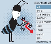 코로나이후 동학개미 투자, 손익분기점 깨졌다