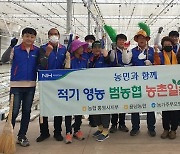 NH농협 통영시지부·용남농협, 범농협 농촌일손돕기 구슬땀