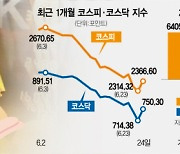 개미가 던진 매물 外人이 3800억 담아..코스닥 2년來 최대폭 상승