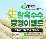 "햅쌀 수확 전 재고 줄이자" 강원농협, 쌀 소비 촉진 운동 펼쳐