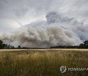 Germany Wildfires