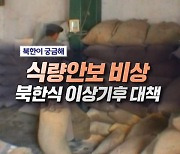 식량안보 비상 북한식 이상기후 대책