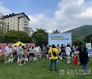 "반려동물과 휴가 오세요"..'2022 댕댕 페스타 in 강원' 홍천서 개최