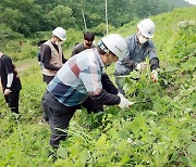전국한우협회, 산림 부산물 한우 업사이클링으로 조사료화 추진