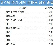 코스닥 주간 개인 순매도 1위 '셀트리온헬스케어'