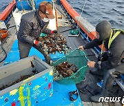 "완도에 전복 쌓인다"..유통업계, 산지서 직접 판로 지원