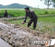 北 "모든 부문·단위서 태풍·큰물 피해 대책 철저"