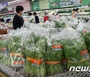 요동치는 농산물값.. 열무·감자·양파 '가격 껑충'