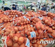 열무, 감자, 양파 등 생산량 감소 등에 가격 상승