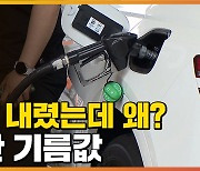 [자막뉴스] 유류세 내렸는데 기름값 연일 '신기록'..정부 화났다