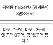 망원은 모아타운, 공덕은 신통기획.. 마포 재개발 사업 훈풍