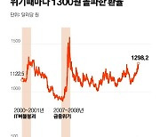 '달러값 1300원' 시대 개막..경제 위기의 시작이냐, 뉴노멀이냐