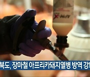 충청북도, 장마철 아프리카돼지열병 방역 강화