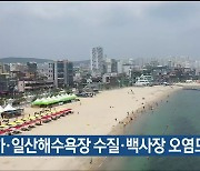 울산 진하·일산해수욕장 수질·백사장 오염도 '안전'