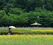 [포토친구] 인천대공원 풍경