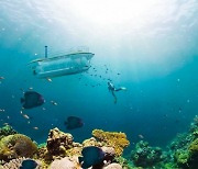 지금 베트남 가면 즐길 수 있는 세계 최초 360도 잠수함