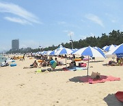 동해안 해수욕장 3년만에 정상 개장..관광객·상인 기대감