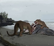 [핵잼 사이언스] 곰과 개를 섞어 놓은 신종? 거대 육식동물 화석 발견