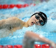 황선우 덕에..한국 수영 세계선수권 경영 17위