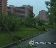 평양에 어제 강풍 동반한 폭우..가로수 뽑혀