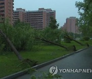 평양에 시간당 58~67mm 폭우..강풍에 가로수 뿌리째 뽑혀(종합)