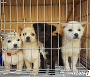 한국펫산업소매협회 "정부, 반려동물 개념·통계 명확히 해야"