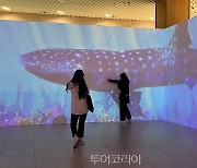 필리핀 관광부,더현대 서울 팝업 이벤트 성료