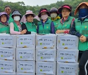 공주시 금학동새마을회, 직접 재배한 감자로 나눔 '훈훈한 이웃 사랑'