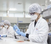 '국산 1호' 코로나 백신 초읽기..내달부터 추가접종에 활용 전망