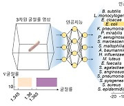 AI 이용해 병원균 99.9% 정확도로 식별한다