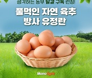 모노라이트, '프리미엄 유정란 유나네 자연숲 농장' 메가쇼 2022 시즌1 참가