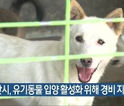 군산시, 유기동물 입양 활성화 위해 경비 지원