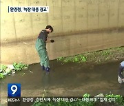 환경청, 춘천시에 '늑장대응 경고'..대응체계 "일제 정비"