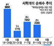 "미국 주식도 실망!"..테슬라 반등하자 1억달러 순매도[서학픽]