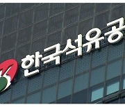 [단독] LTV 규제 비웃듯..公기관 '황제대출' 여전