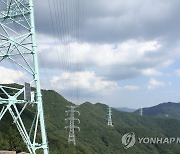 1천억대 한전 송전선 특별지원금 두고 법원 "내용 공개해야"