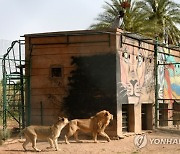 SUDAN PHOTO SET ANIMAL RESCUE CENTER
