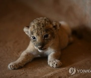 SUDAN PHOTO SET ANIMAL RESCUE CENTER