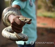 SUDAN PHOTO SET ANIMAL RESCUE CENTER