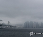 부산 기장군 60.5mm 비..온천천 하상도로 통행 재개(종합)