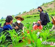 농업 생산 증대 추진하는 북한.. '집단주의 정신' 강조