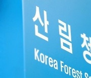 서울·경기·강원 지역 산사태 위기경보 '주의'로 상향 발령