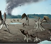 백악기 한반도 남쪽은 익룡 집단 서식지였다..군집생활 증거 화석 발굴