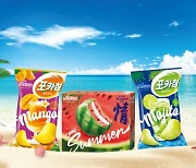 수박맛 초코파이·막걸리 쉐이크 '여름 한정판 대결'