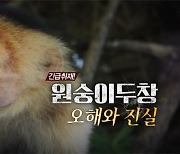 [PD수첩] 신종감염병 확산 중심에 선 성소수자들, 원숭이두창에 대한 오해와 진실