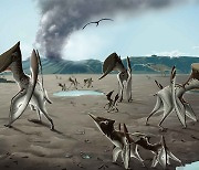 전남대, 세계 최초 '익룡 군집 생활 증명' 화석 발견