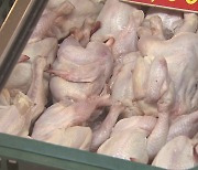 '닭고기 가격 담합' 하림·마니커 등 6개사·육계협회 기소