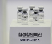 백신 승인 앞둔 SK바이오..치료제 포기한 셀트리온 '주가 희비'